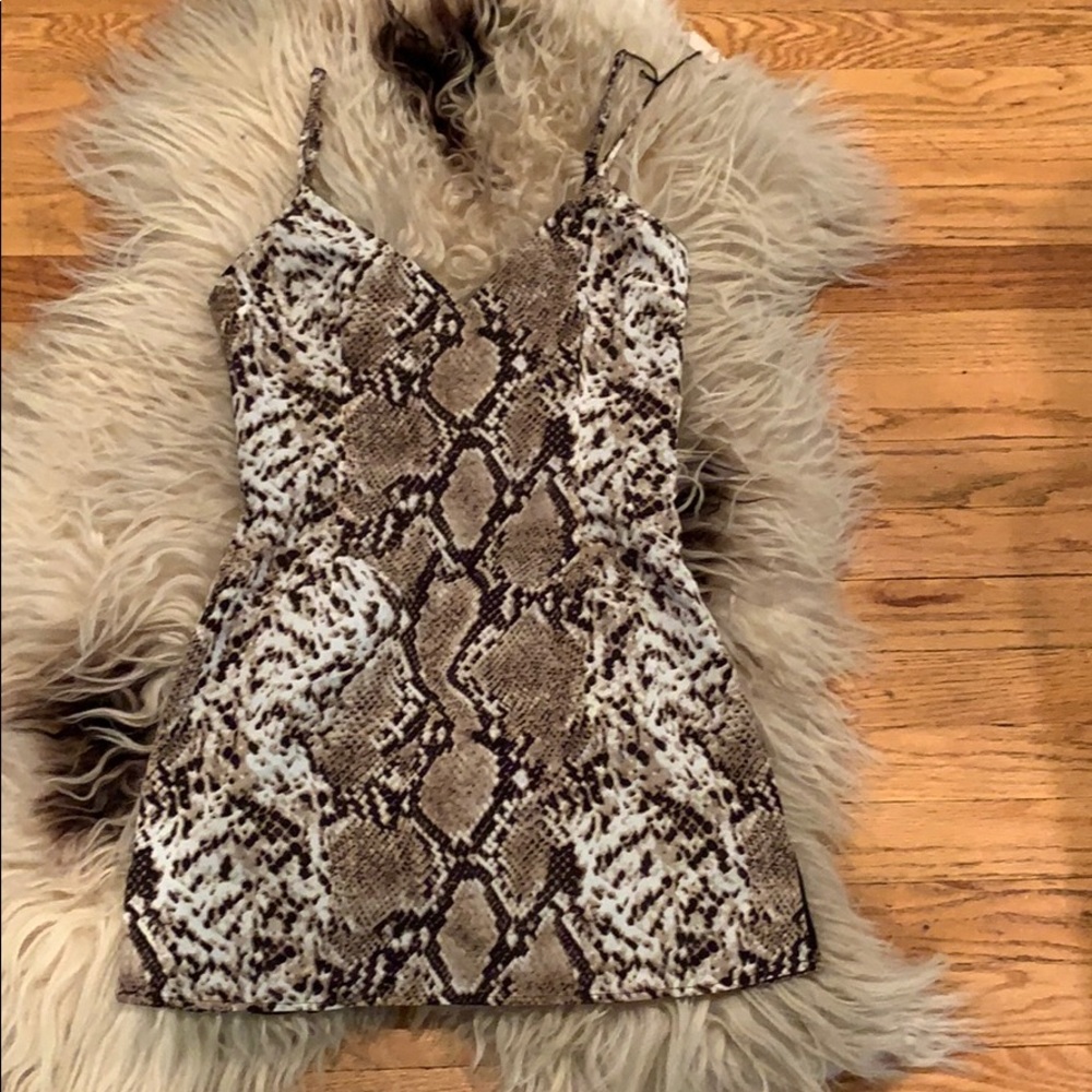 Snake skin mini
